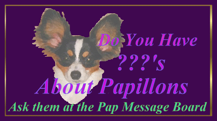 Go to the message Papillon Message Board